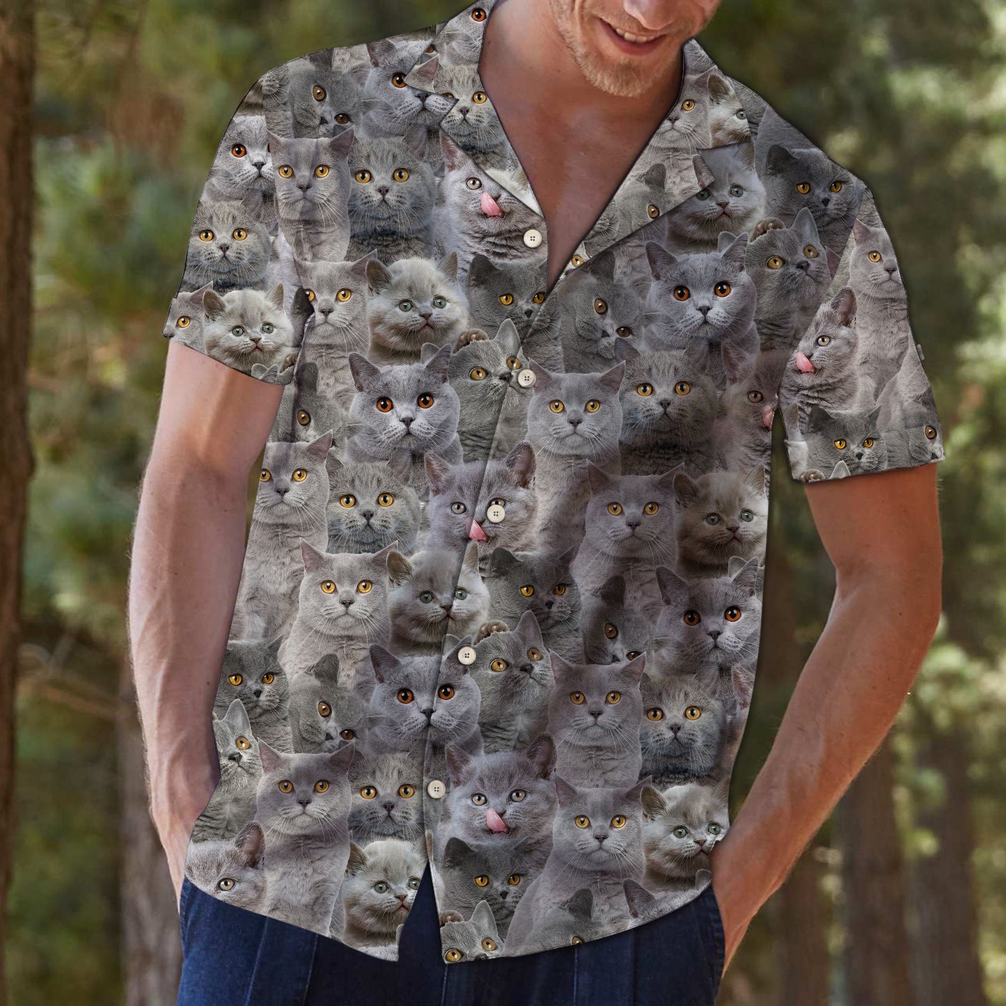British Shorthair Awesome D0307 - Hawaii Shirt