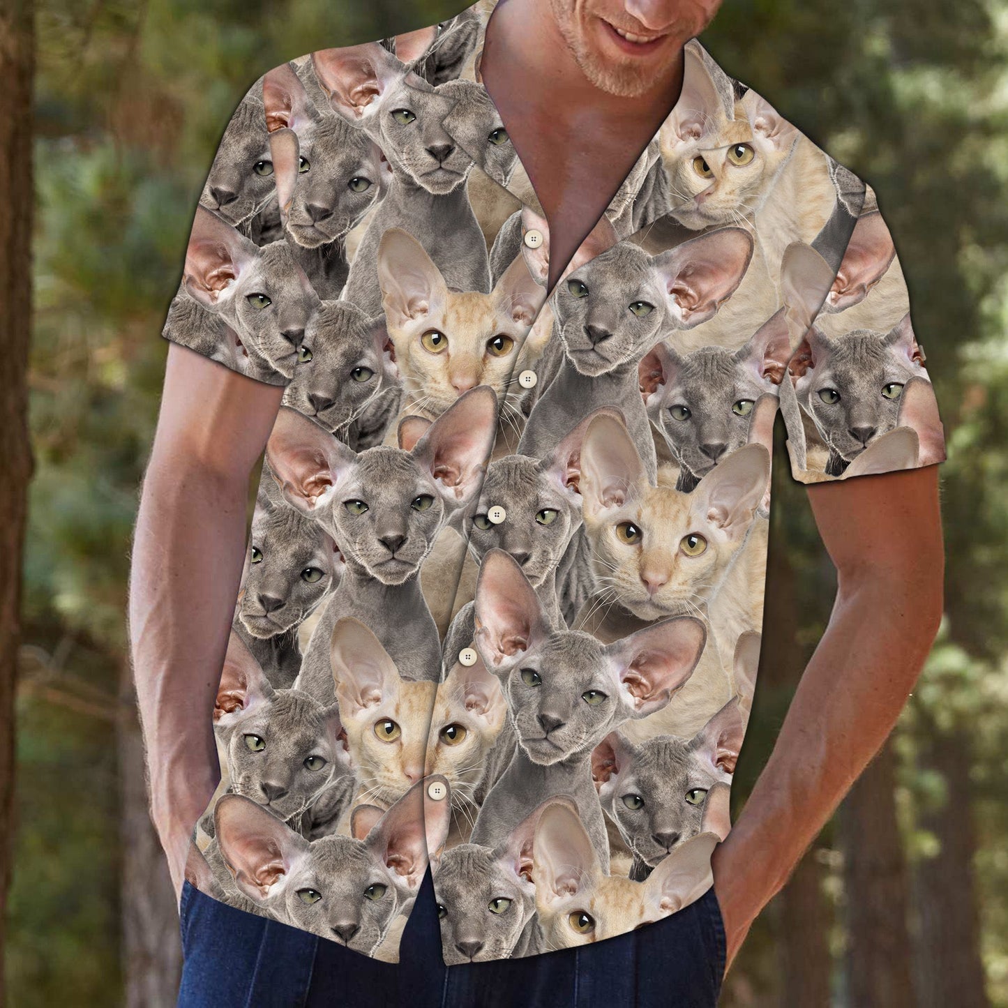 Peterbald Awesome D0607 - Hawaii Shirt