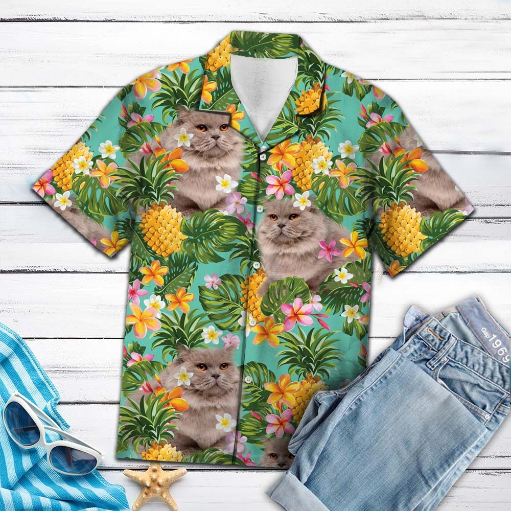 Tropical Pineapple British Longhair H87067 - Hawaii Shirt