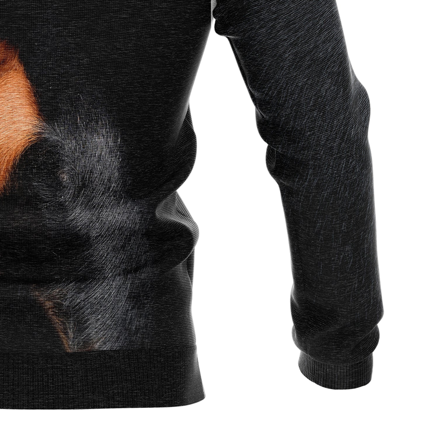 Amazing Rottweiler H21808 All Over Print Unisex Hoodie