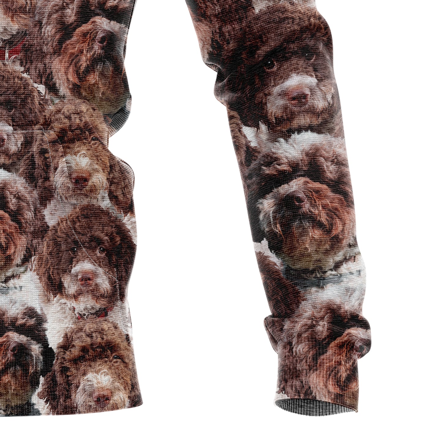 Lagotto Romagnolo Awesome D284 All Over Print Unisex Hoodie