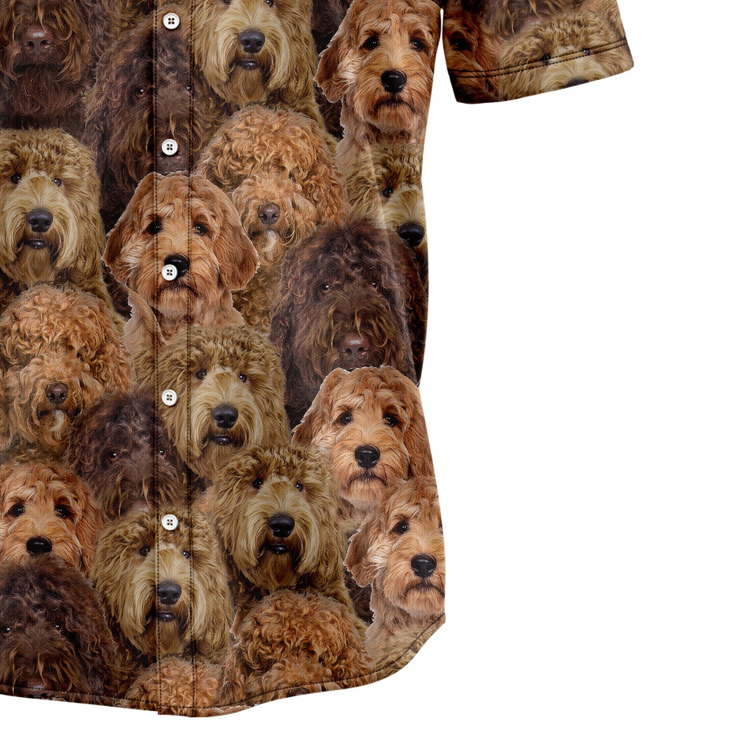 Labradoodle Awesome D0207 Hawaiian Shirt