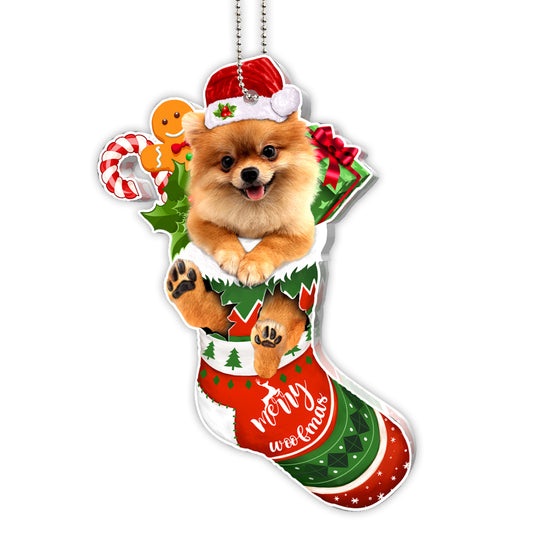 Pomeranian Tree Socks Acrylic Ornament