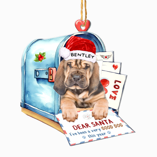 Personalized Blood Hound In Mailbox Christmas Aluminum Ornament