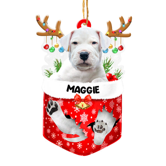 Personalized Dogo Argentino In Snow Pocket Christmas Acrylic Ornament