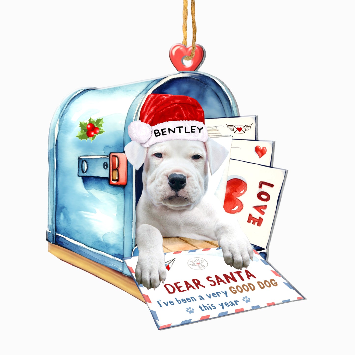 Personalized Dogo Argentino In Mailbox Christmas Aluminum Ornament