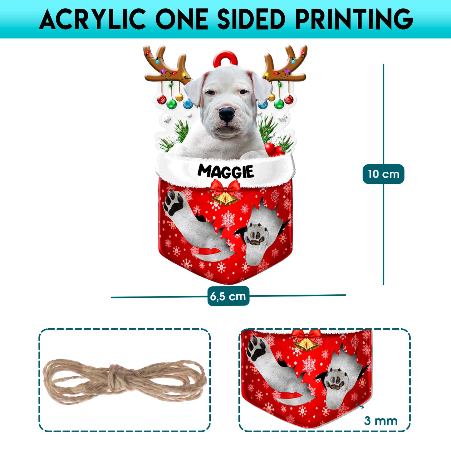 Personalized Dogo Argentino In Snow Pocket Christmas Acrylic Ornament