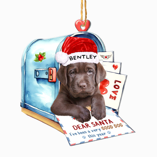 Personalized Chocolate Labrador Retriever In Mailbox Christmas Aluminum Ornament