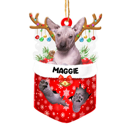 Personalized Mexican Hairless Dog In Snow Pocket Christmas Acrylic Ornament