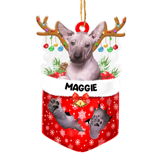 Personalized Mexican Hairless Dog In Snow Pocket Christmas Acrylic Ornament