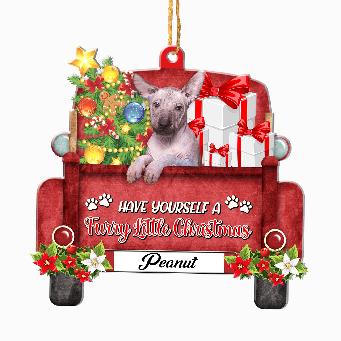 Personalized Mexican Hairless Dog Red Truck Christmas Aluminum Ornament