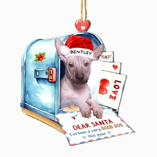 Personalized Mexican Hairless Dog In Mailbox Christmas Aluminum Ornament