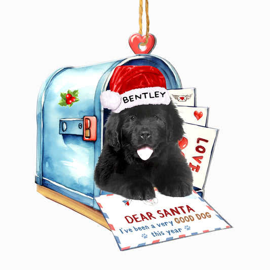 Personalized Newfoundland Dog In Mailbox Christmas Aluminum Ornament