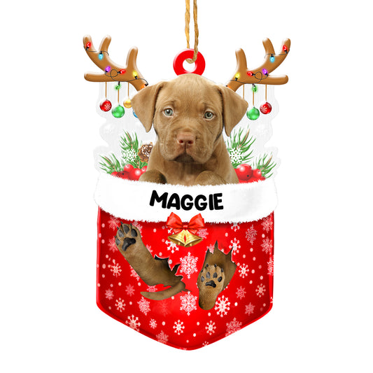 Personalized Pitbull In Snow Pocket Christmas Acrylic Ornament
