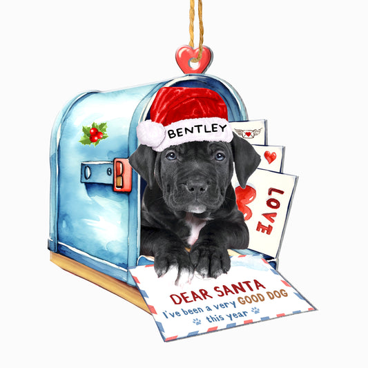 Personalized Black Pitbull In Mailbox Christmas Aluminum Ornament