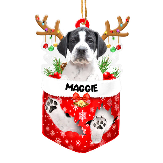 Personalized Pointer In Snow Pocket Christmas Acrylic Ornament