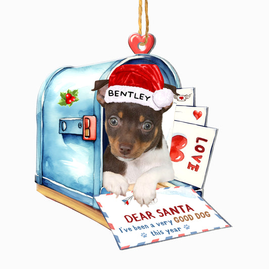 Personalized Rat Terrier In Mailbox Christmas Aluminum Ornament