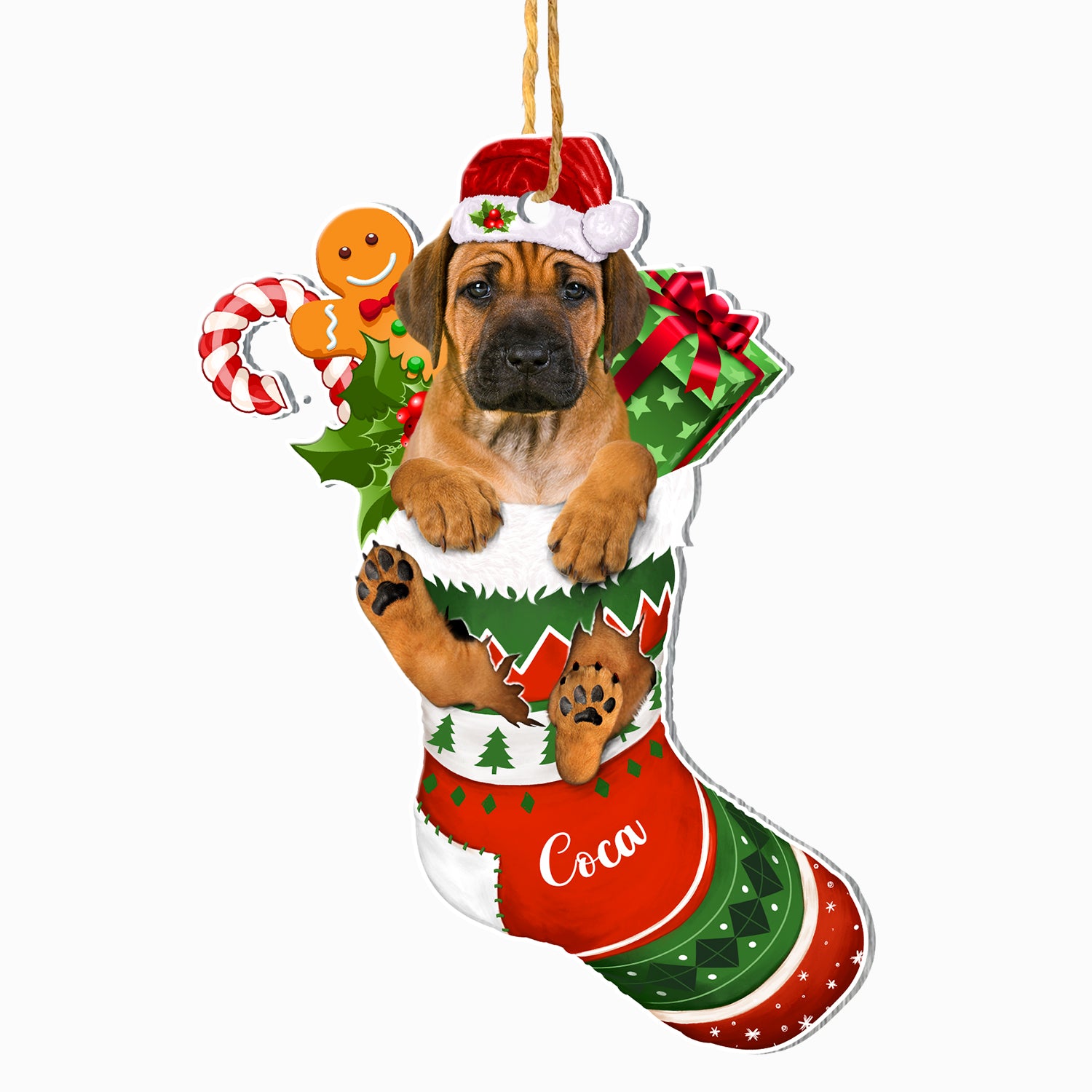 Personalized Rhodesian Ridgeback In Christmas Stocking Aluminum Orname ...