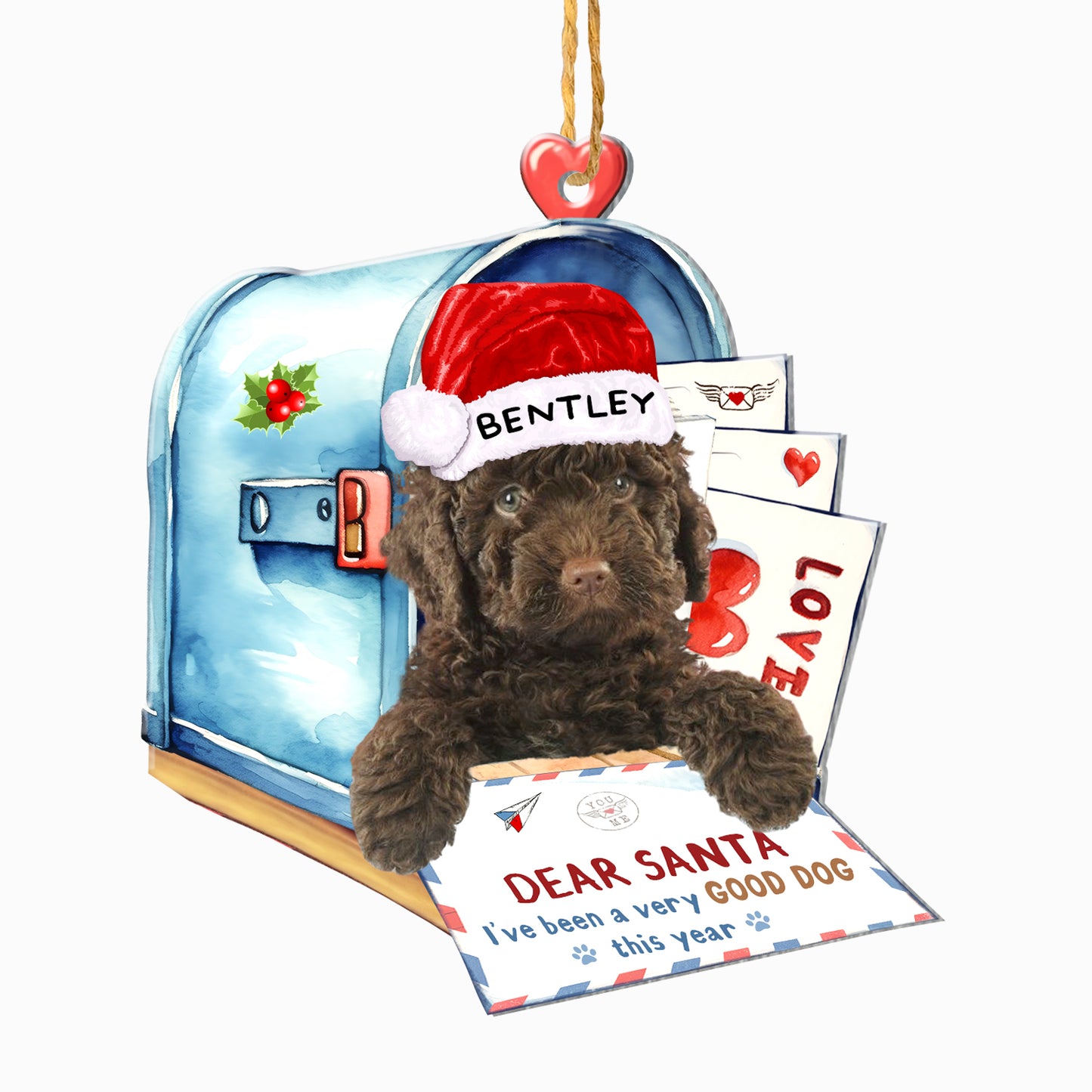 Personalized Spanish Water Dog In Mailbox Christmas Aluminum Ornament