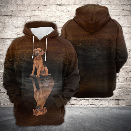 Cute Rhodesian Ridgeback Reflection Dog H22434 - All Over Print Unisex Hoodie