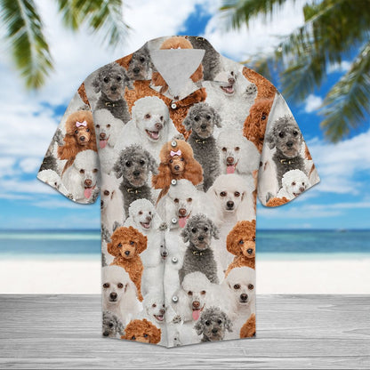 Poodle Awesome D0207 - Hawaii Shirt