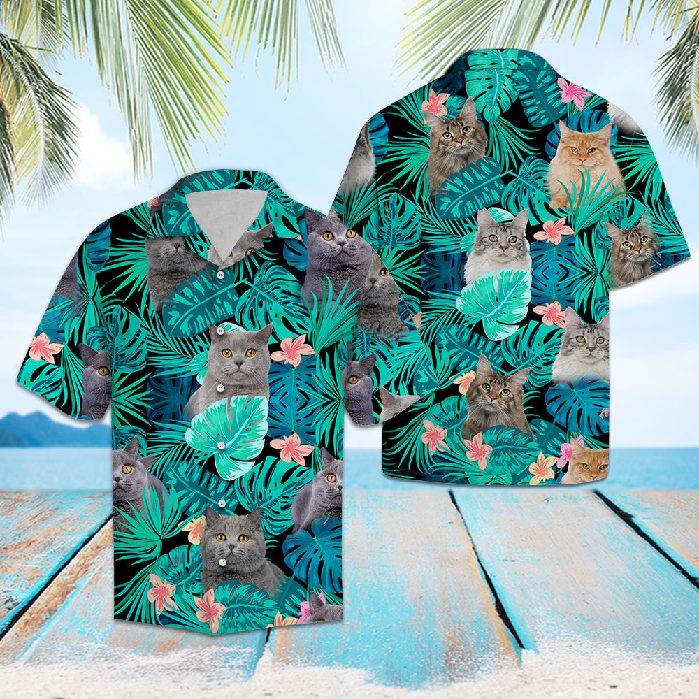 Tropical British Shorthair G5702 - Hawaii Shirt