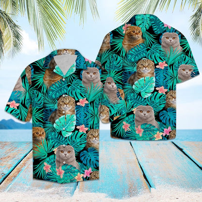 Tropical Scottish Fold G5702 - Hawaii Shirt