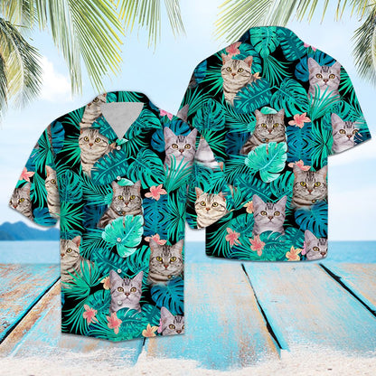 Tropical American Shorthair G5702 - Hawaii Shirt