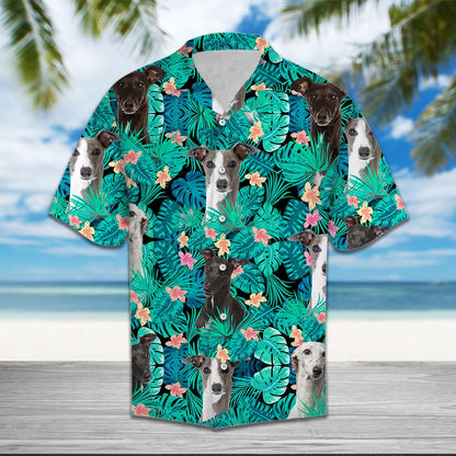 Greyhound Tropical T0207 - Hawaii Shirt