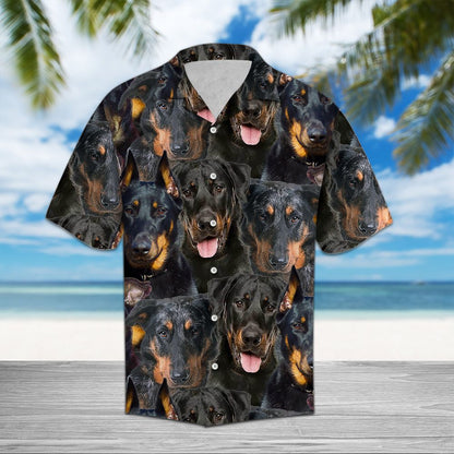 Beauceron Awesome D0307 - Hawaii Shirt