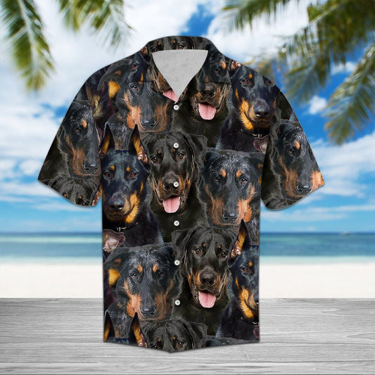 Beauceron Awesome D0307 - Hawaii Shirt