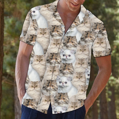 Persian Cat Awesome D0307 - Hawaii Shirt
