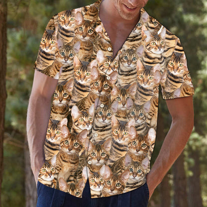 Toyger Awesome D0307 - Hawaii Shirt