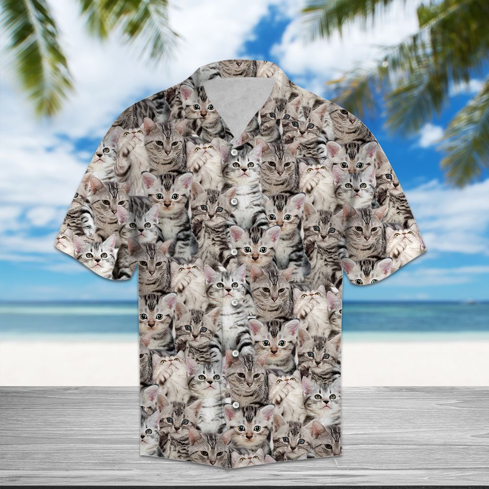 American Shorthair Awesome D0307 - Hawaii Shirt