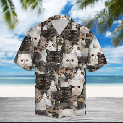 Exotic Shorthair Awesome D0307 - Hawaii Shirt