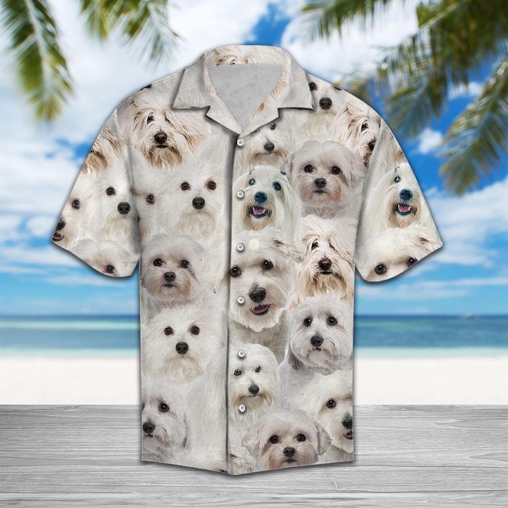 Cute Coton de Tuléar H3741 - Hawaii Shirt