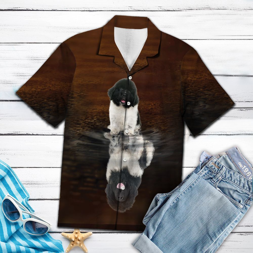 Cute Newfoundland H3747 - Hawaii Shirt