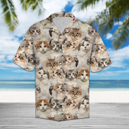 American Curl Awesome D0607 - Hawaii Shirt