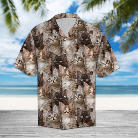 LaPerm Awesome D0607 - Hawaii Shirt