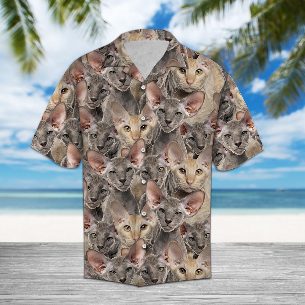 Peterbald Awesome D0607 - Hawaii Shirt