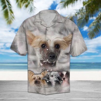 Chinese Crested Great D0607 - Hawaii Shirt