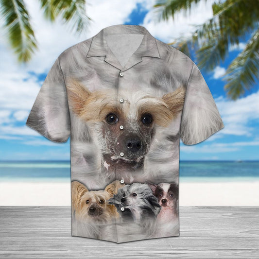 Chinese Crested Great D0607 - Hawaii Shirt