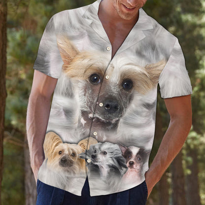 Chinese Crested Great D0607 - Hawaii Shirt
