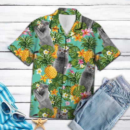 Tropical Pineapple British Shorthair H67079 - Hawaii Shirt
