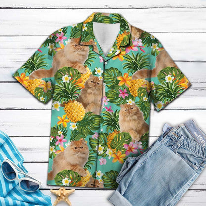 Tropical Pineapple Persian cat H67081 - Hawaii Shirt