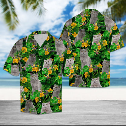 British Shorthair Tropical Wild Flowers T0707 - Hawaii Shirt