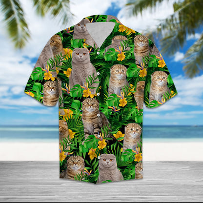 Scottish Fold Tropical Wild Flowers T0707 - Hawaii Shirt