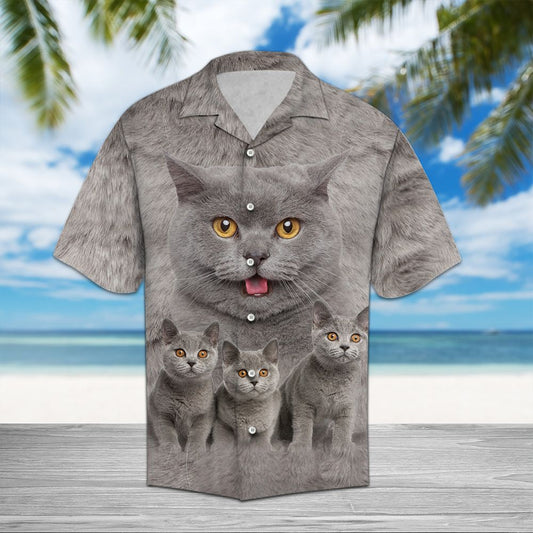 British Shorthair Great D0807 - Hawaii Shirt