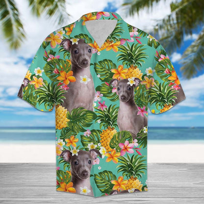 Tropical Pineapple Italian Greyhound H87002 - Hawaii Shirt