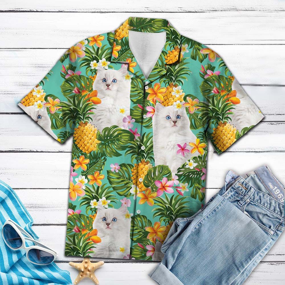 Tropical Pineapple Ragdoll kittens H87079 - Hawaii Shirt